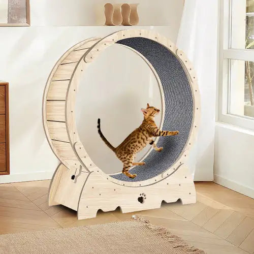 EasyCo Indoor Silent Cat Wheel