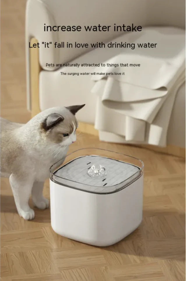 EasyCo Plug-in Cat Feeder with Anti-Dry Burn Protection