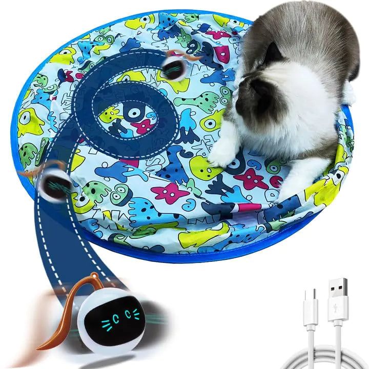 EasyCo Interactive Chase Toy