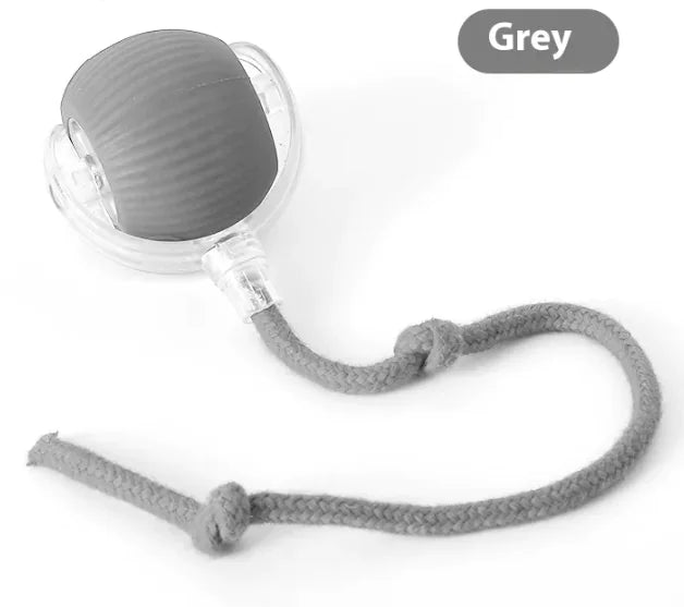 EasyCo Interactive Cat Toy Ball