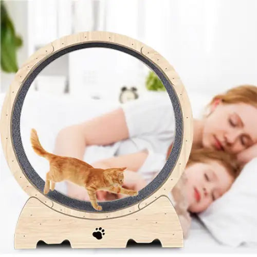 EasyCo Indoor Silent Cat Wheel